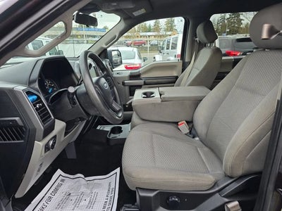 2019 Ford F-150 XL Pickup 4D 5 1/2 ft